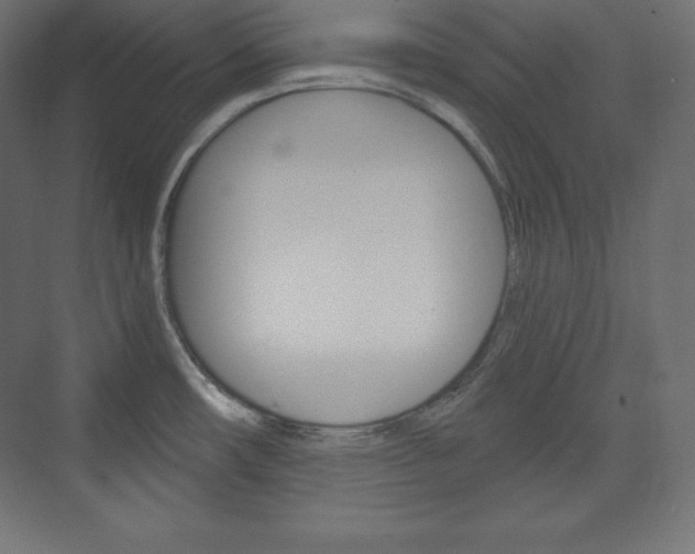X0000073951482200608210929