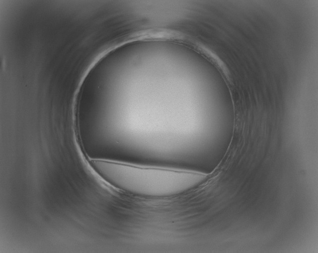 X0000073951483200608210929
