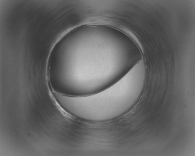 X0000073951485200608210929