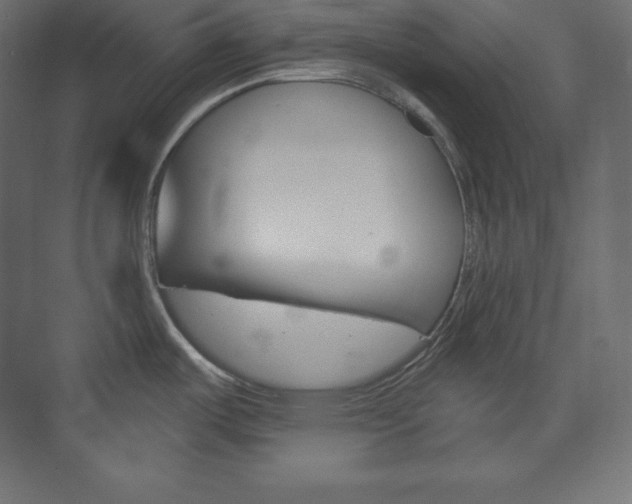 X0000073951487200608210929