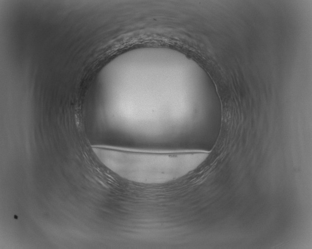 X0000073951490200608210928