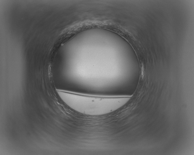 X0000073951492200608210928