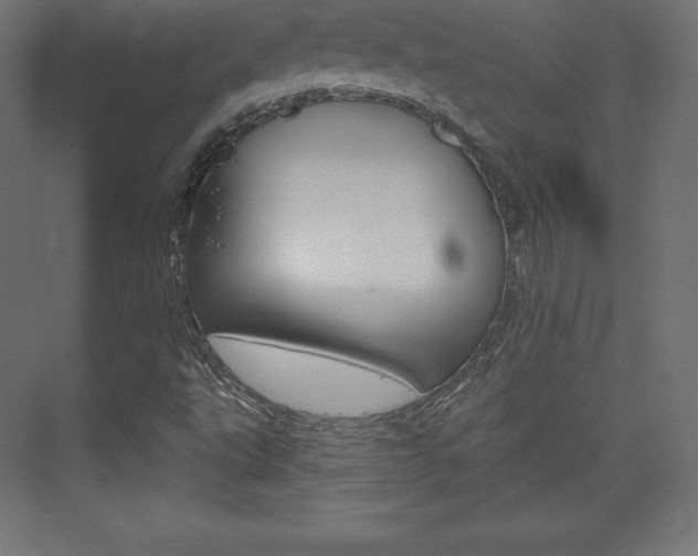 X0000073951495200608210928