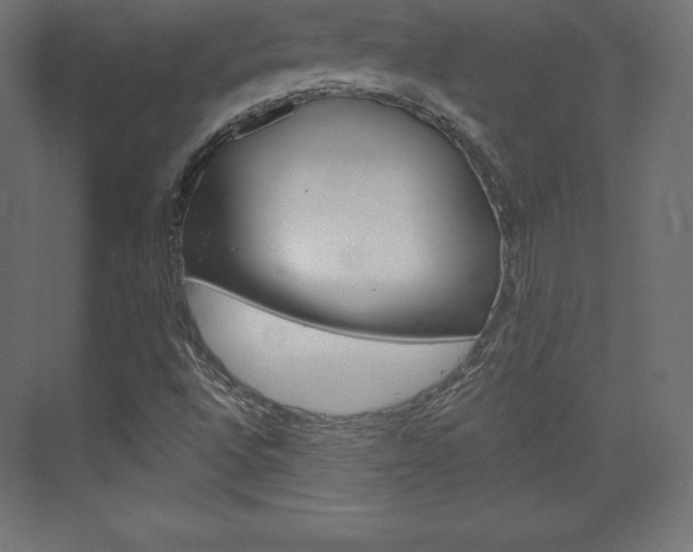 X0000073951496200608210929