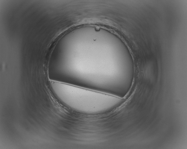 X0000073951497200608210929