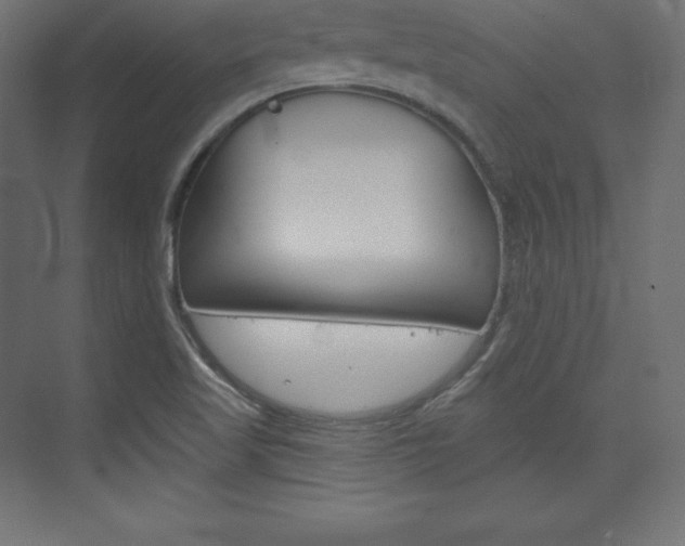 X0000073951509200608210929