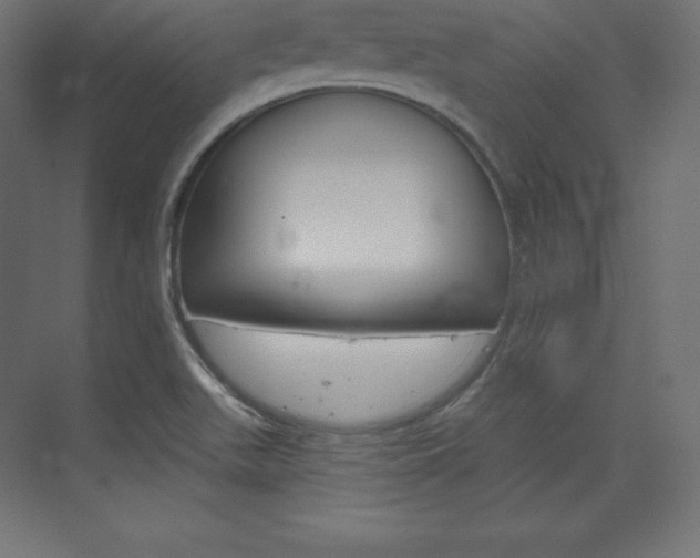 X0000073951511200608210929