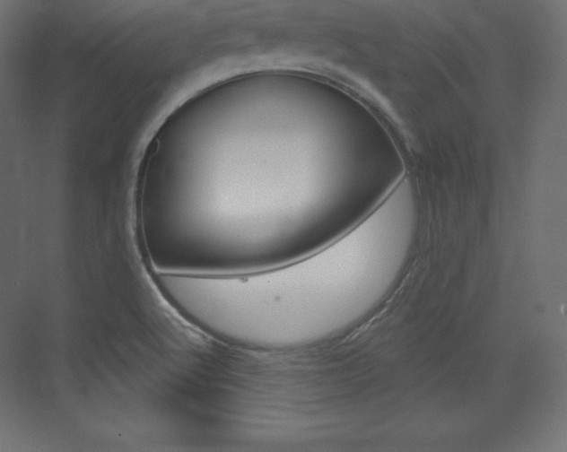X0000073951512200608210929