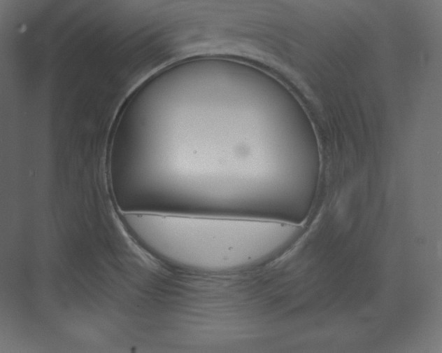 X0000073951513200608210929