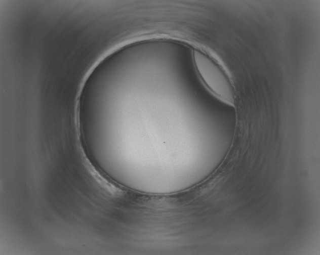 X0000073951516200608210929