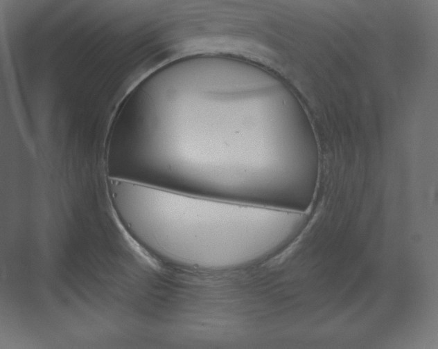 X0000073951521200608210929