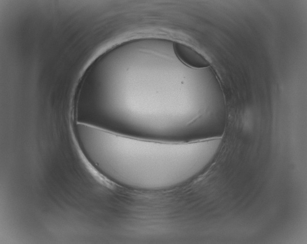 X0000073951523200608210929