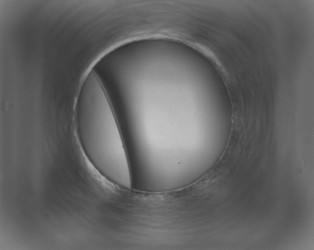 X0000073951524200608210929