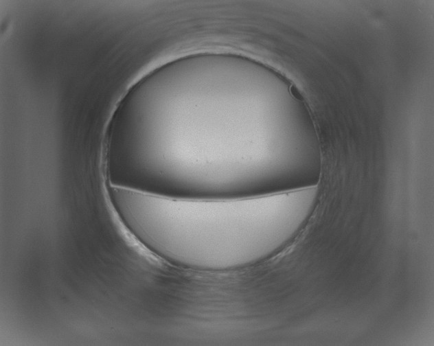 X0000073951526200608210929