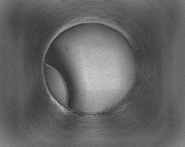 X0000073951527200608210929