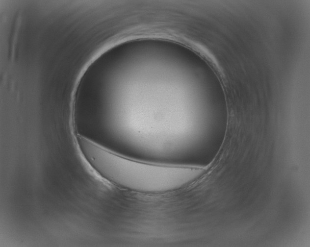 X0000073951528200608210929