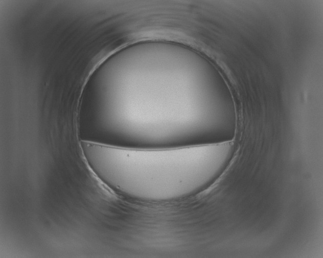 X0000073951529200608210929