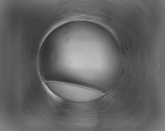 X0000073951531200608210929