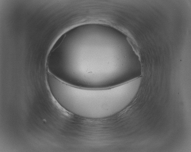 X0000073951532200608210929