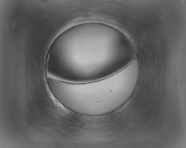 X0000073951534200608210929