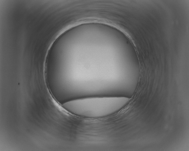 X0000073951535200608210929