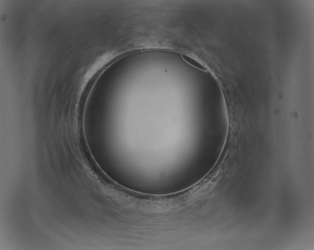 X0000073950008200608211151