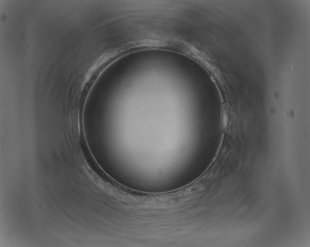 X0000073950011200608211151