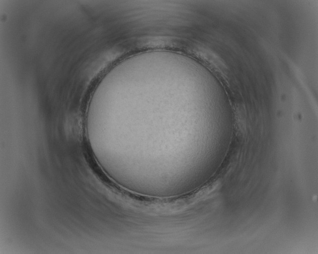 X0000073950016200608211151