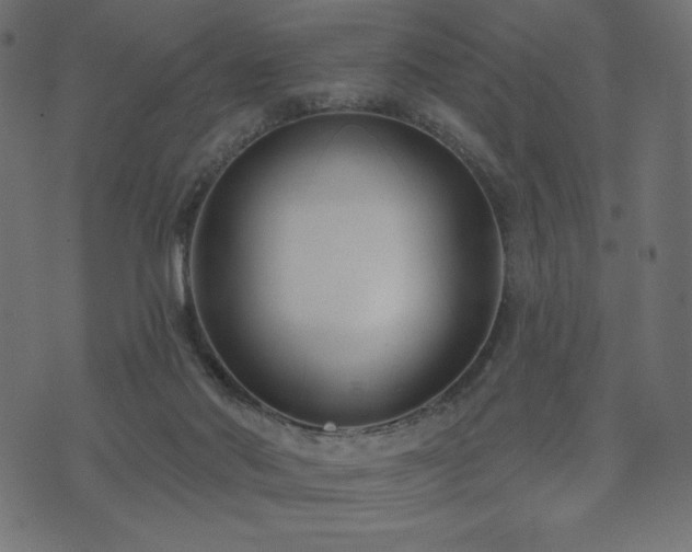 X0000073950022200608211151