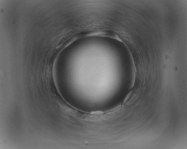 X0000073950037200608211151