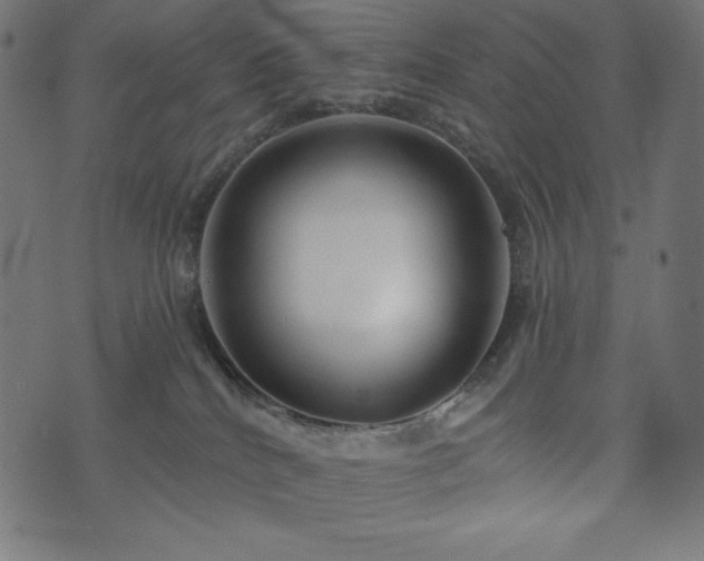X0000073950040200608211151