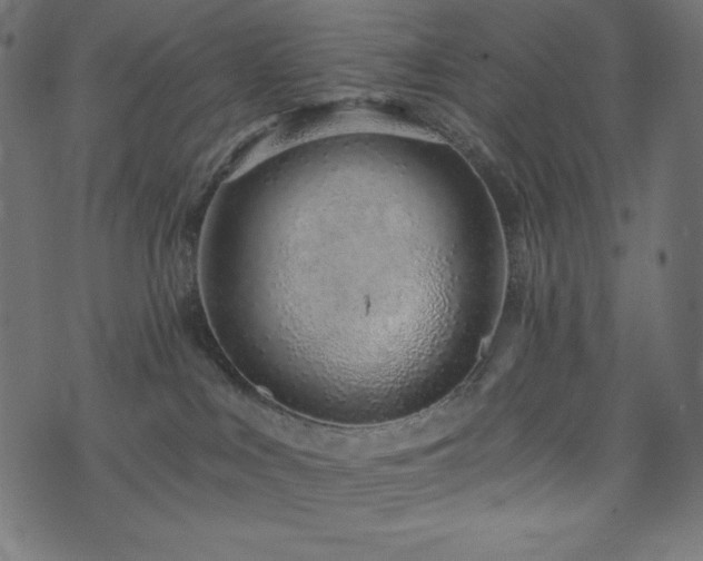 X0000073950043200608211151
