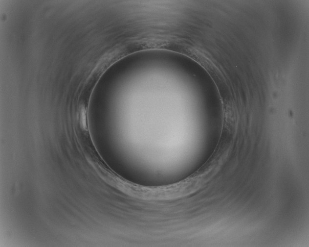 X0000073950046200608211151