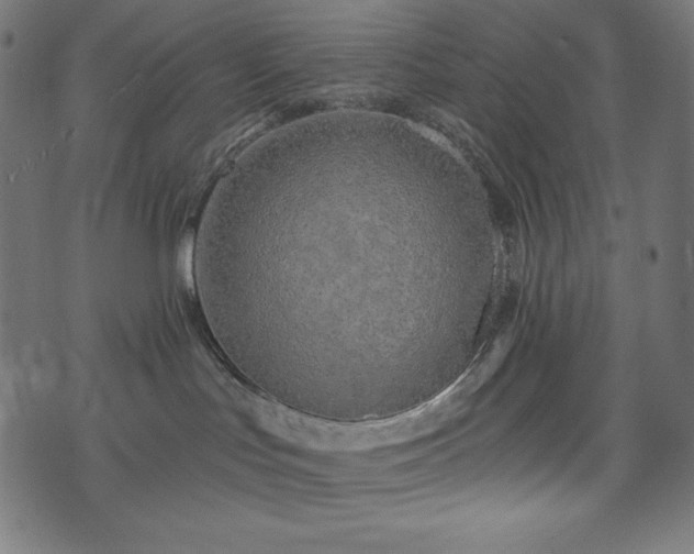 X0000073950047200608211151