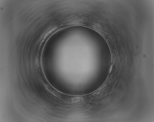 X0000073950050200608211150