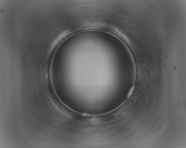 X0000073950059200608211150