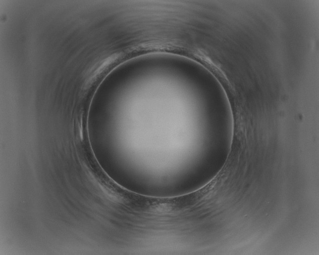 X0000073950062200608211150