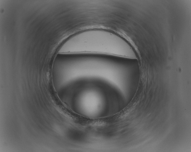 X0000073950063200608211150