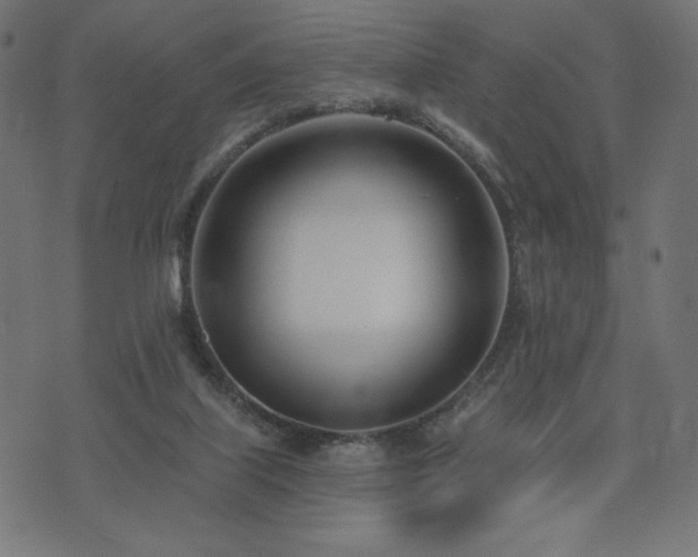X0000073950067200608211150
