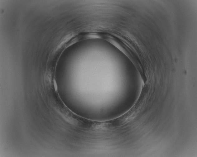 X0000073950072200608211150