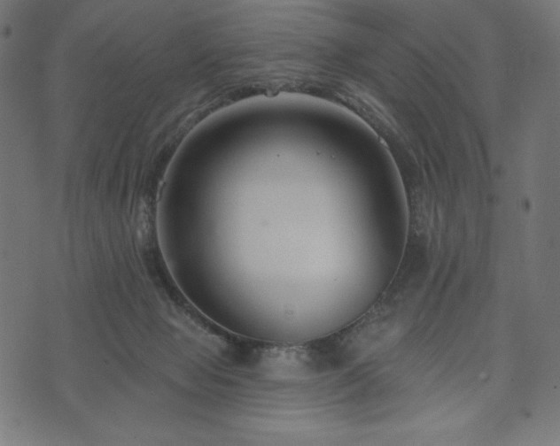X0000073950077200608211150