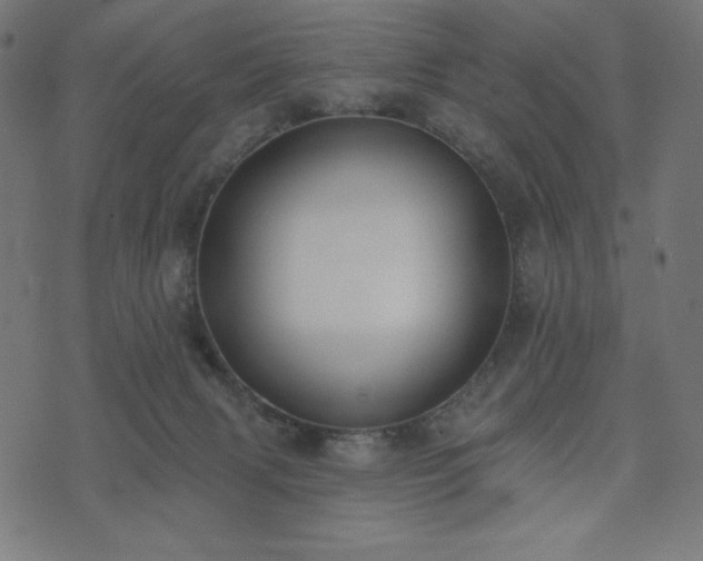X0000073950079200608211150