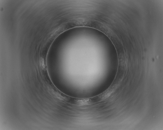 X0000073950089200608211151