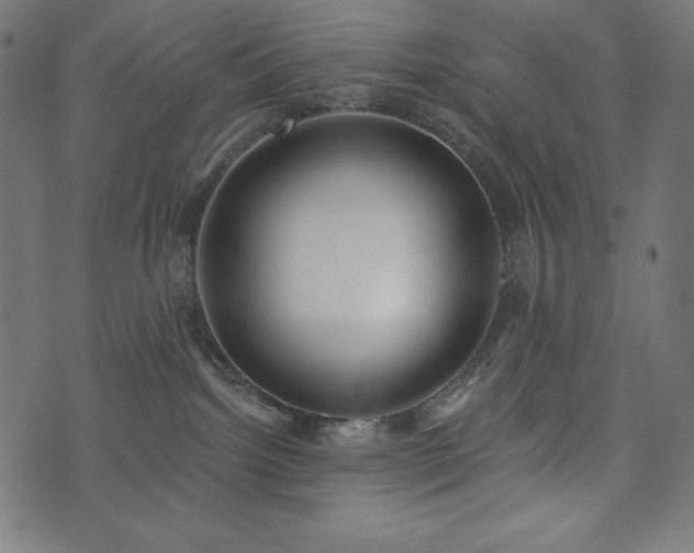 X0000073950092200608211151