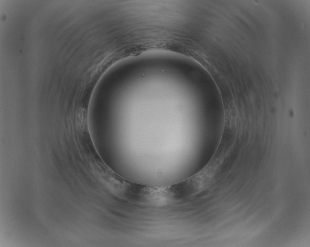 X0000073950093200608211151