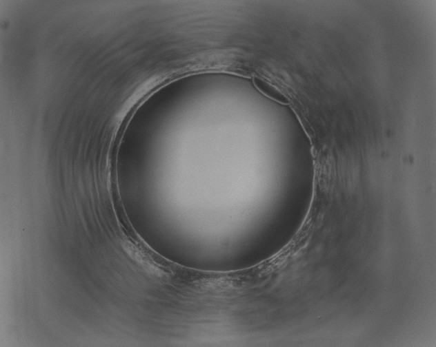 X0000073950100200608211150