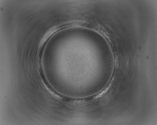 X0000073950101200608211150