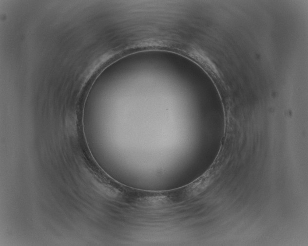 X0000073950108200608211150