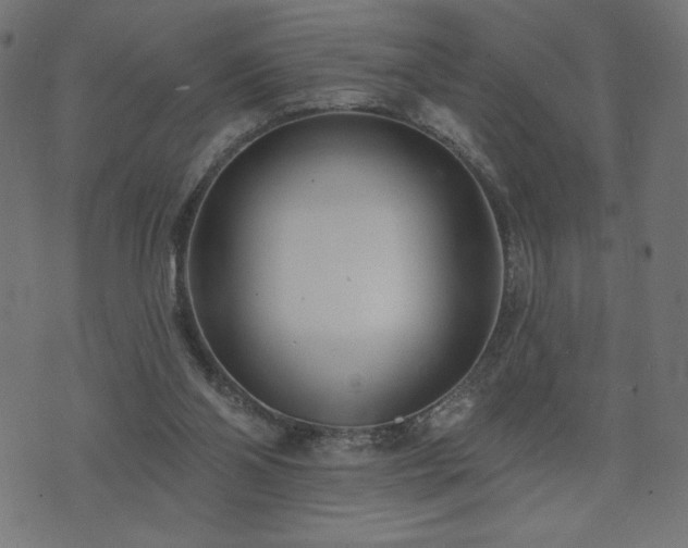 X0000073950110200608211150