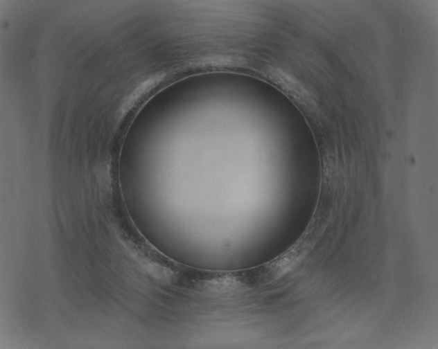 X0000073950112200608211150